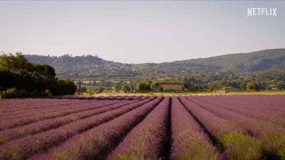 J'espère qu'ils seront déchirés au rosé en écoutant le chant des cigales.