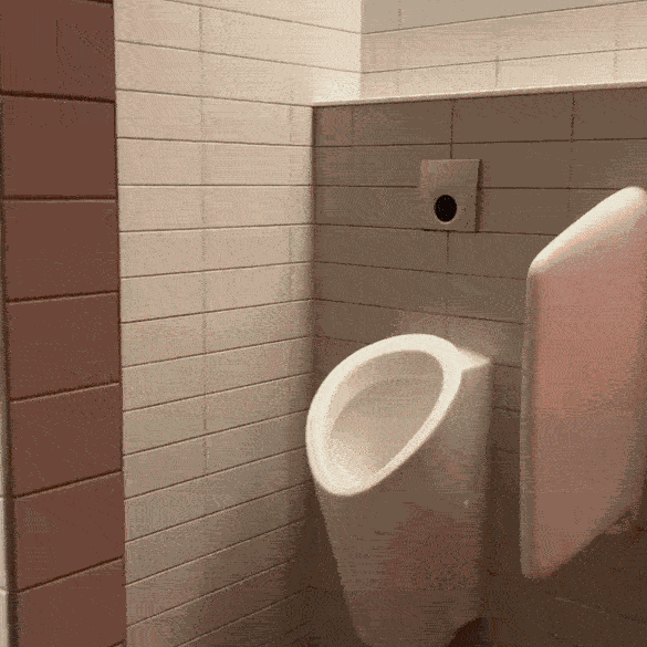 GIF animé