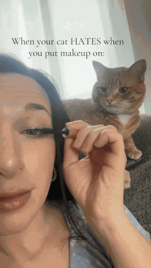 GIF animé