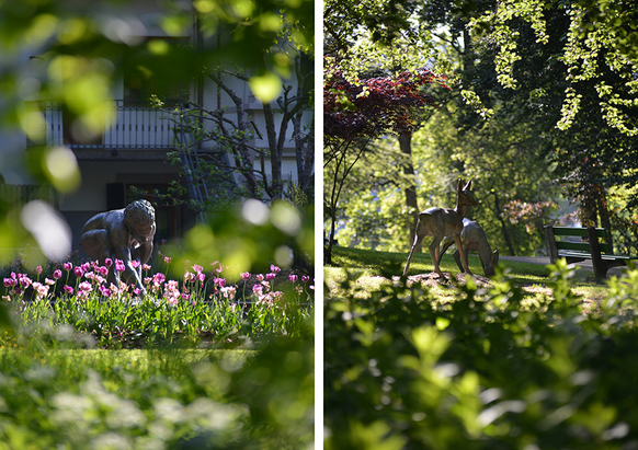 La Chaux-de-Fonds: des chiens «empoisonnés» dans le parc Gallet