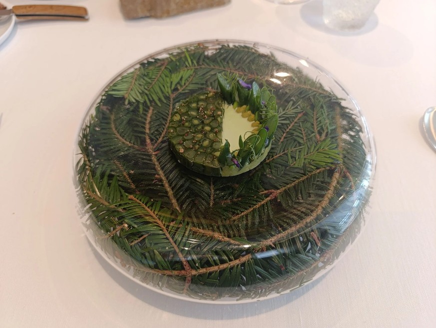 Feine Vinzel-Bohnen in Vinaigrette, begleitet von einer zarten Tannensprossen-Mousseline aus den Höhenzügen des Doubs. Zu Gast bei Jérémy Desbraux.