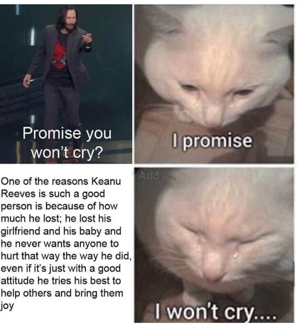 keanu reeves meme

https://screenrant.com/keanu-reeves-memes-pure-as-he/