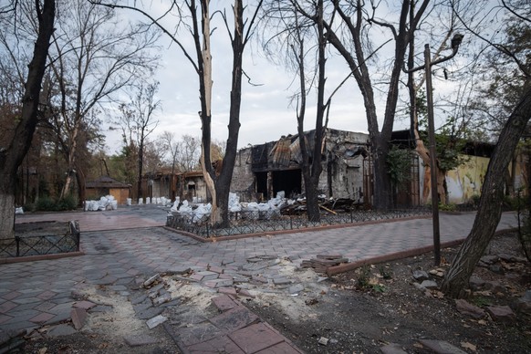 epa11729335 A view of destroyed buildings in Kherson, southern Ukraine, 15 November 2024 (issued 19 November 2024). Ukraine marks 1,000 days on 19 November 2024, since Russia&#039;s full-scale invasio ...