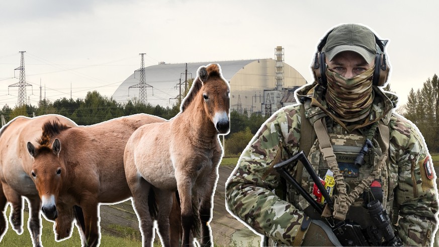 «C'est là qu'on entend des explosions»: on a visité Tchernobyl