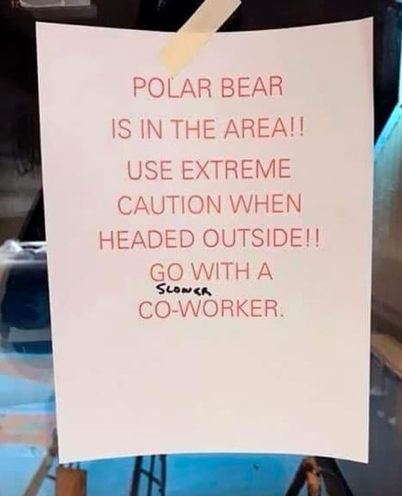 Traduction: Il y a un ours dehors! Soyez prudents! Sortez avec un collègue (plus lent).