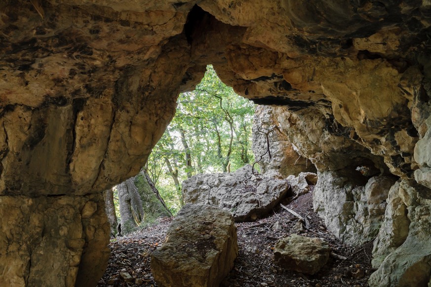 Bruderhöhle Effingen