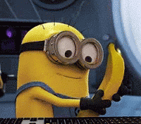 GIF animé