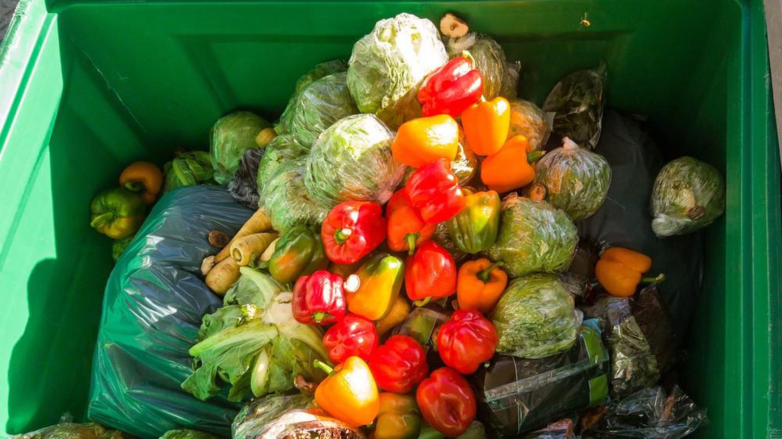 Food-Waste