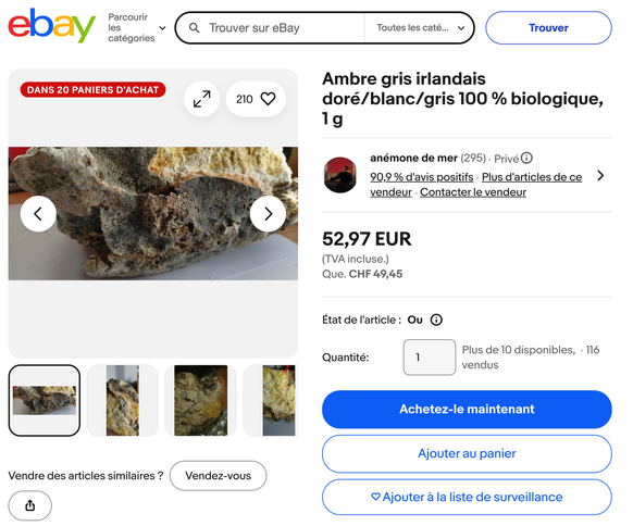 Capture d&#039;écran de Ebay