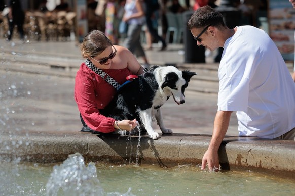 epa11553039 People give water to a dog from a fountain on a hot day in Valencia, eastern Spain, 17 August 2024. With the DANA (isolated depression at high levels) dissipating, heat once again dominate ...