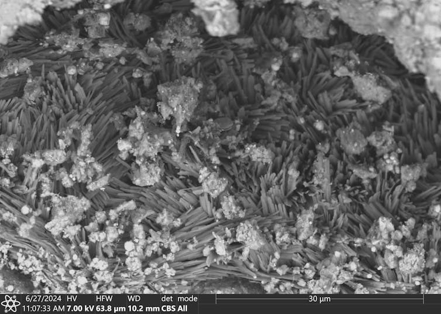Minuscules cristaux de différents minéraux, parmi lesquels du carbonate de sodium (sur ce cliché), trouvés dans les échantillons de l’asteroïde Bennu.
