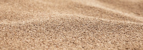 Une récolte de fonio.