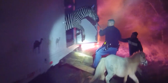 Panique sur l'autoroute