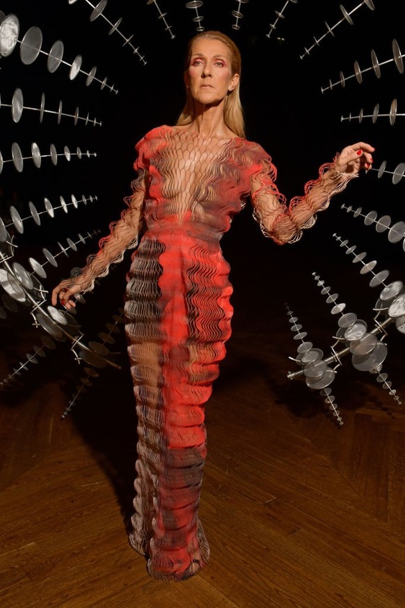 Celine Dion in the front row (Photo by Swan Gallet/WWD/Penske Media via Getty Images)
