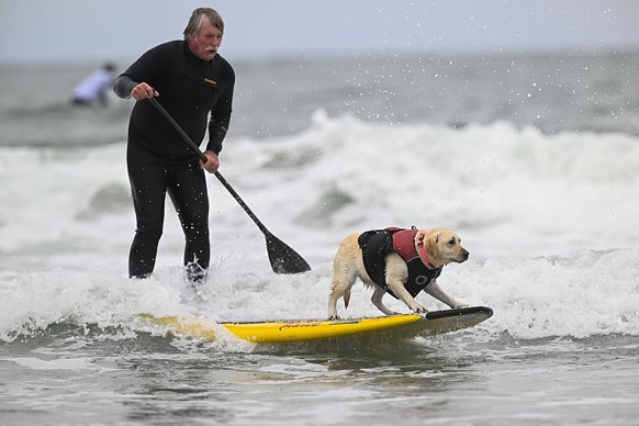 LES CHAMPIONNATS DU MONDE DE SURF CANIN en Californie