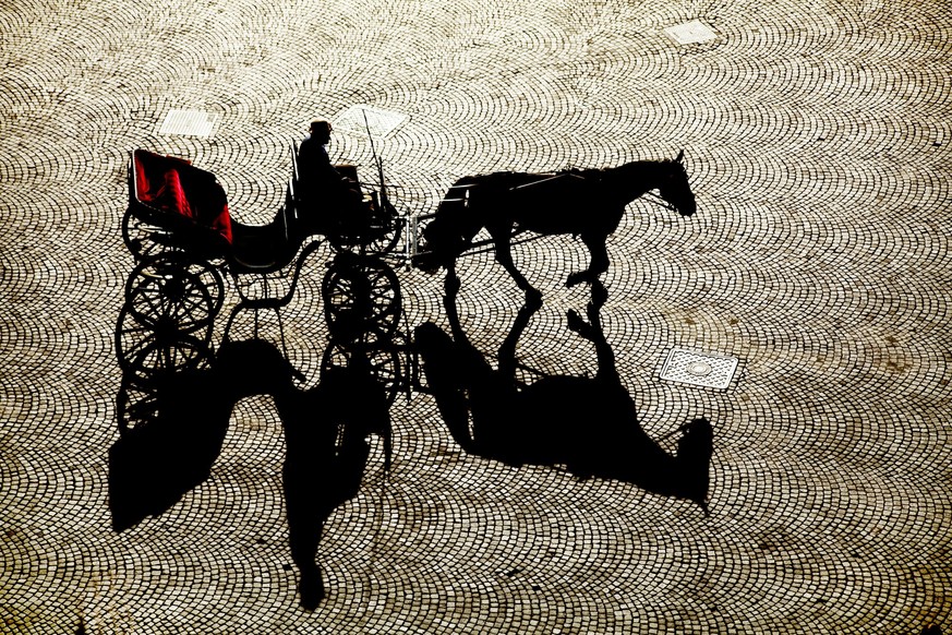 Des calèches à Genève: les chevaux n&#039;ont rien à faire en ville