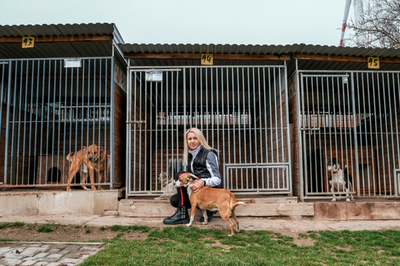 Joanna, propriétaire du refuge, a employé douze salariés pour s'occuper des animaux et réaliser des aménagements.