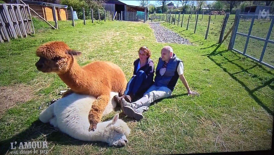 Quelqu'un peut lui checker le pouls? A Géraldine, on veut dire.