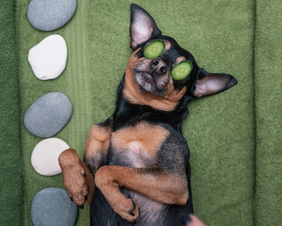 Wellness-Stockfotos Absurd