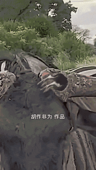 GIF animé