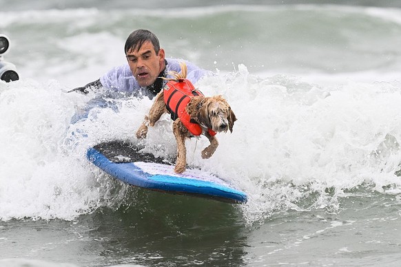 LES CHAMPIONNATS DU MONDE DE SURF CANIN en Californie