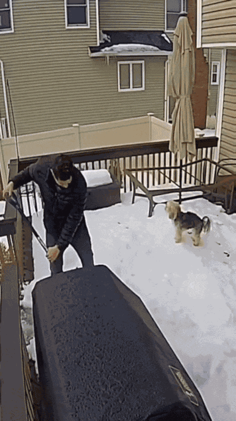 GIF animé