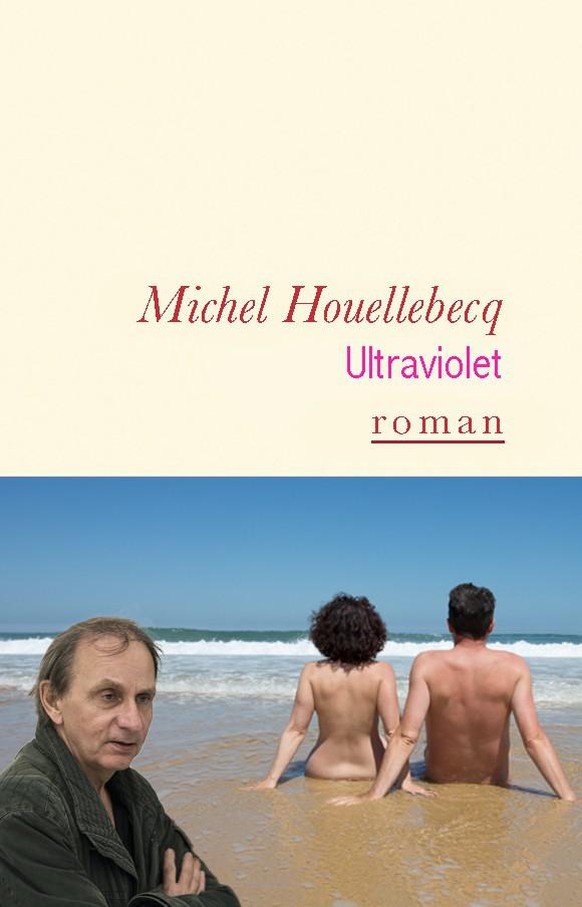 Michel Houellebecq, Roman, été, livre