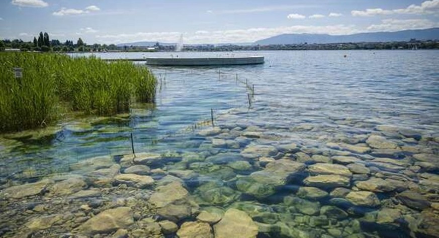 Un bateau sans occupant s&#039;était échoué près du quai de Cologny (GE).