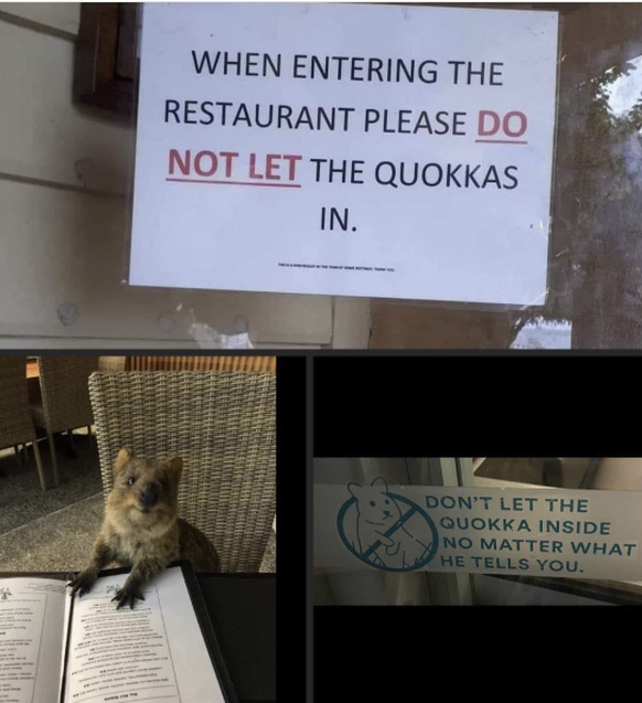 Die lustigsten Fails der Woche: Quoakka im Restaurant