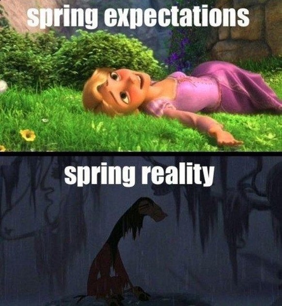 Überraschungs-Winter im Frühling. Die Memes.