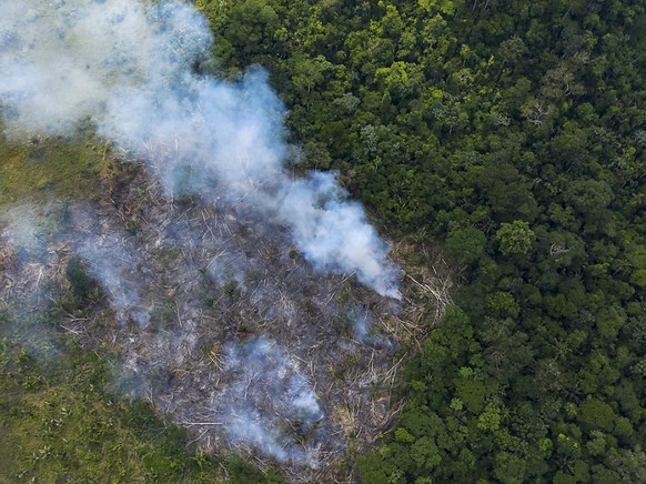 Le Br�sil, pays le plus touch�, a perdu 1,7 million d&#039;hectares de for�t primaire en 2020, la majorit� en Amazonie. Cela repr�sente une hausse de 25% en un an (archives).