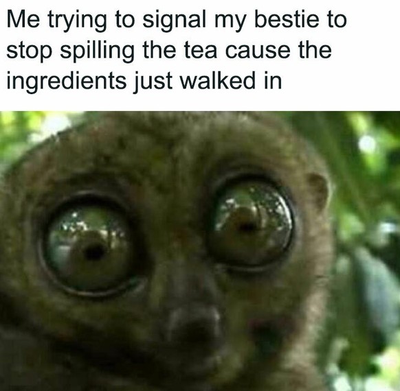 Lustige Memes zur Arbeit