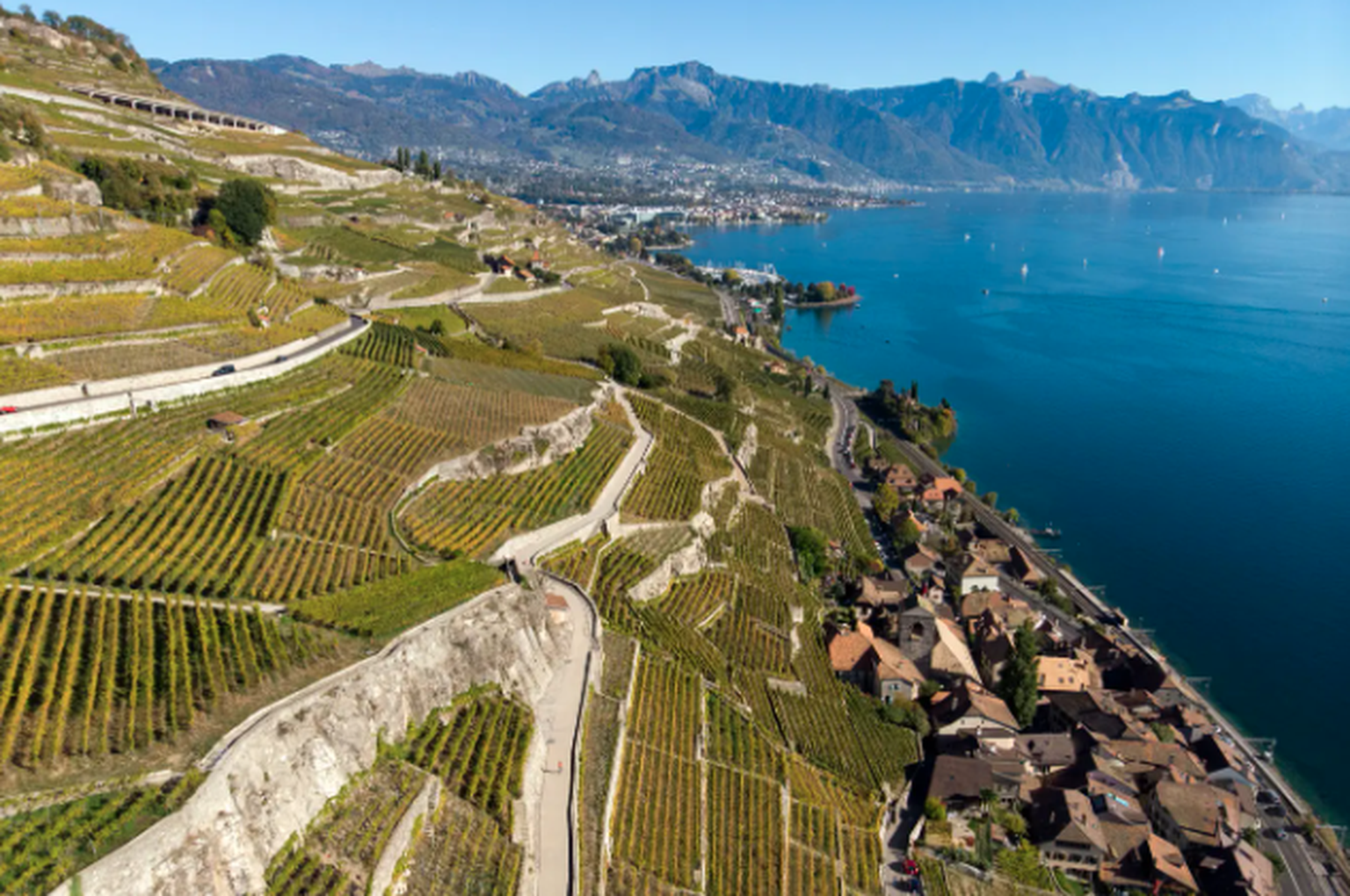 Le Lavaux, dégustation de vin