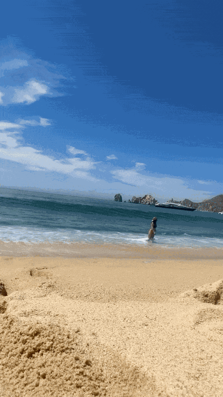 GIF animé
