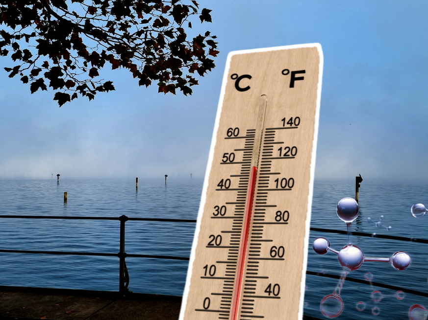 Ce qui arrive au lac de Constance inquiète 