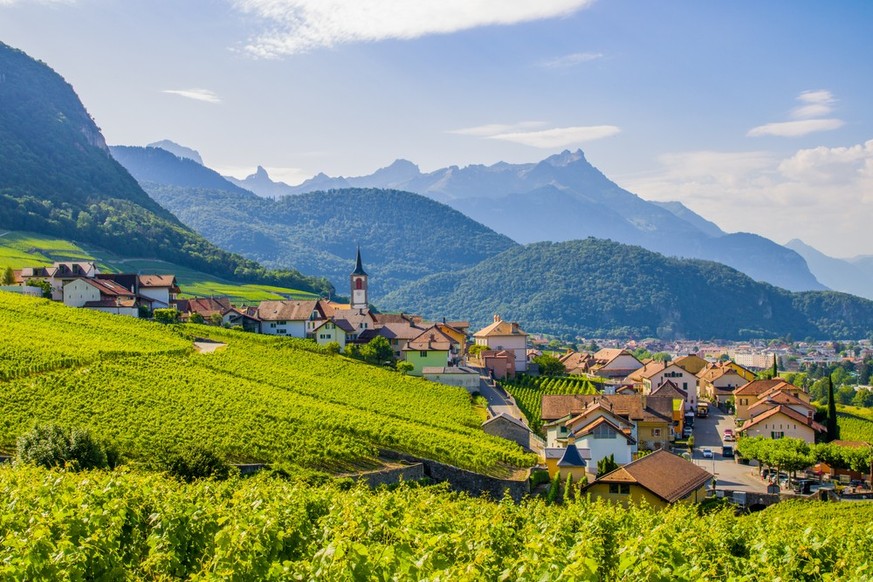 Le village d'Yvorne protège son vignoble du gibier avec des enregistrements de cris de loup.