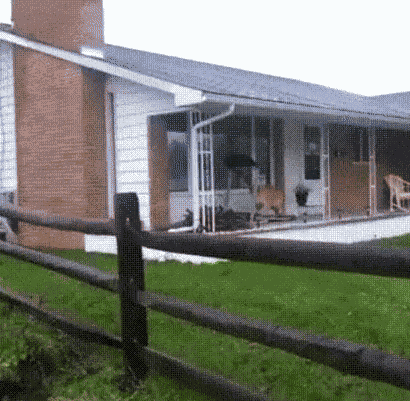 GIF animé