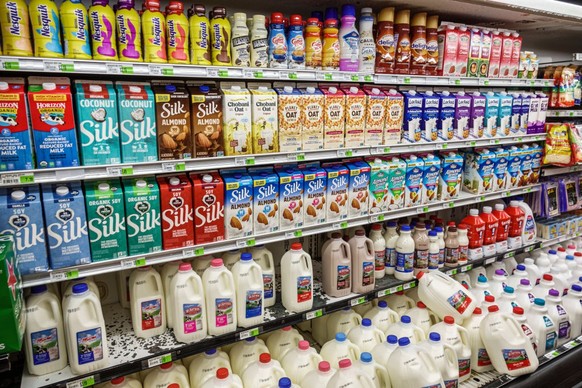 Miami Beach, Florida, Normandy Isle, Sabor Tropical Supermarket, refrigerated milk aisle, Silk, Nesquik, almond milk, organic milk, oat milk. (Photo by: Jeffrey Greenberg/Universal Images Group via Ge ...