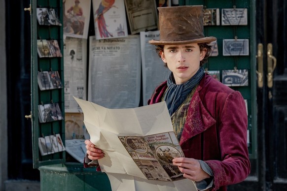 Timothée Chalamet incarne à la perfection la première version de Willy Wonka, gentil et généreux.