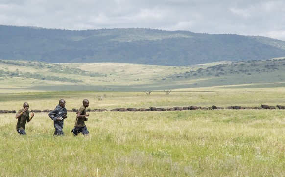 IMAGE DISTRIBUTED FOR TUSK - In this handout photo released on Friday, July 31, 2020, the World&#039;s fastest Marathon runner, record holder Eliud Kipchoge, runs with wildlife rangers in Lewa Wildlif ...