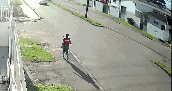 GIF animé