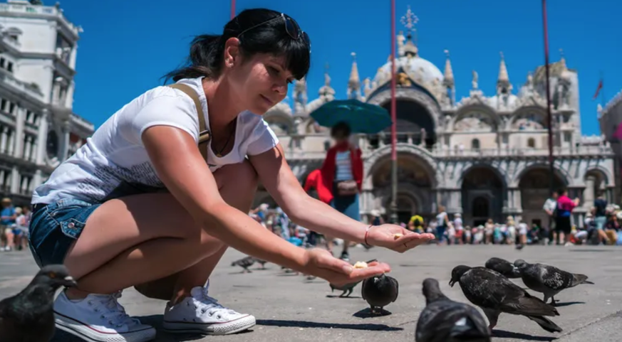 Cela peut vous coûter cher: les pigeons à Venise ne doivent pas être nourris.