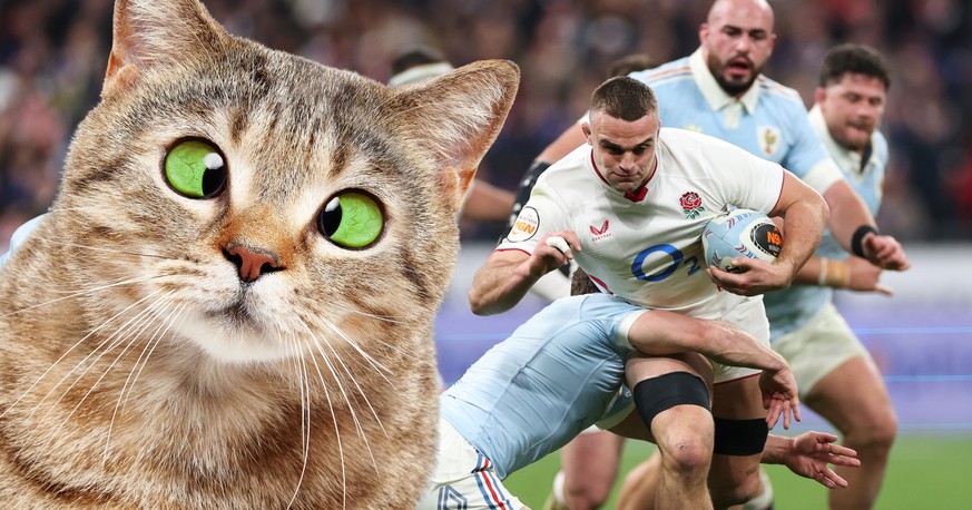 Une situation cocasse a fâché les fans de rugby