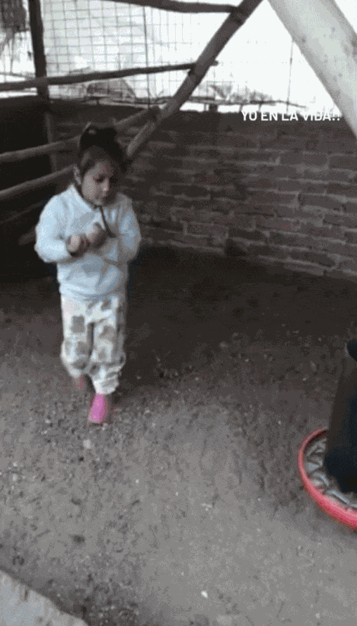 GIF animé