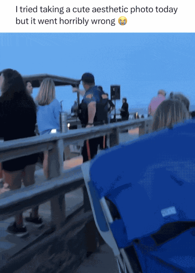GIF animé