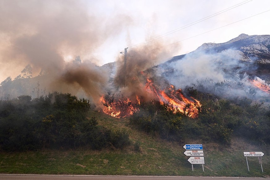 Un feu de forêt en Espagne, le 13 novembre.