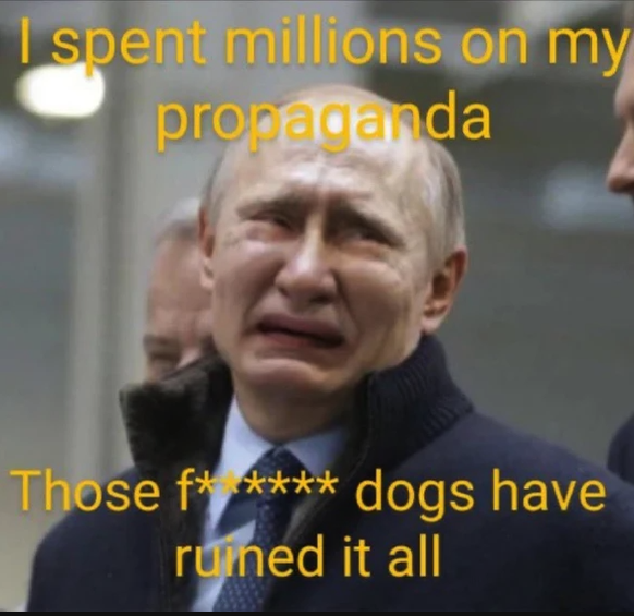 «J'ai dépensé des millions pour ma propagande....et ces %%ç%% de chiens ruinent tout! »