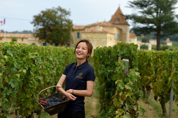 Chinese singer and actress Zhao Wei poses on September 18, 2018 in Saint-Hippolyte, southwestern France, in her vineyard of Chateau Monlot which is being harvested. Zhao Wei bought the Chateau Monlot, ...