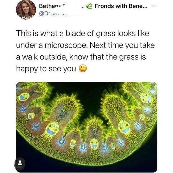 19 Memes, die einfach ans Herz gehen ❤ – Teil zwei