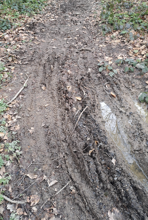 La photo de la discorde, postée sur Facebook par un randonneur qui déplore l'état du sentier après le passage des VTT.